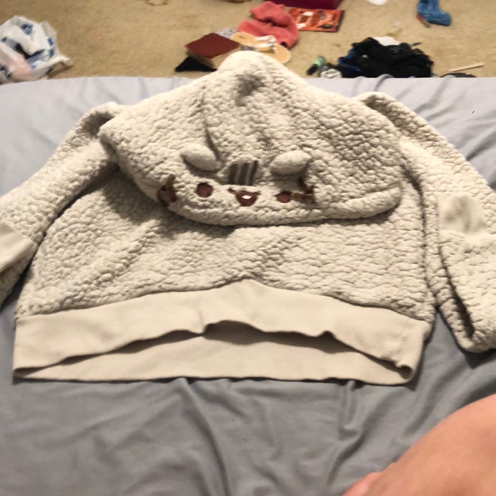 Pusheen the cat hooded sweater